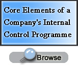 core elements of a company's internal contol programme