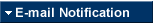 E-mail Notification